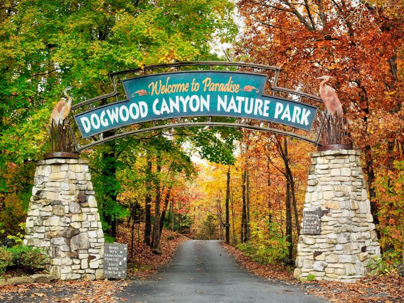 Dogwood Canyon Nature Park Fall