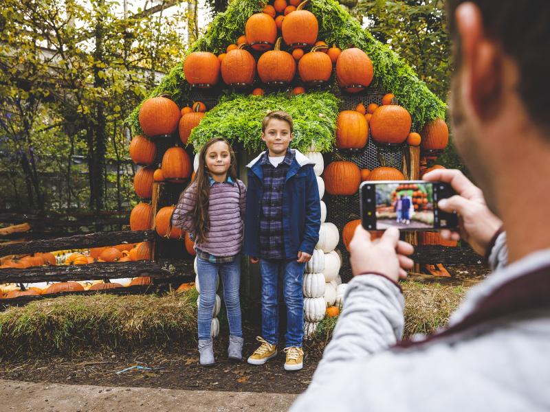 Two kids pose in front of a pumpkin cottage photo op at SDC
