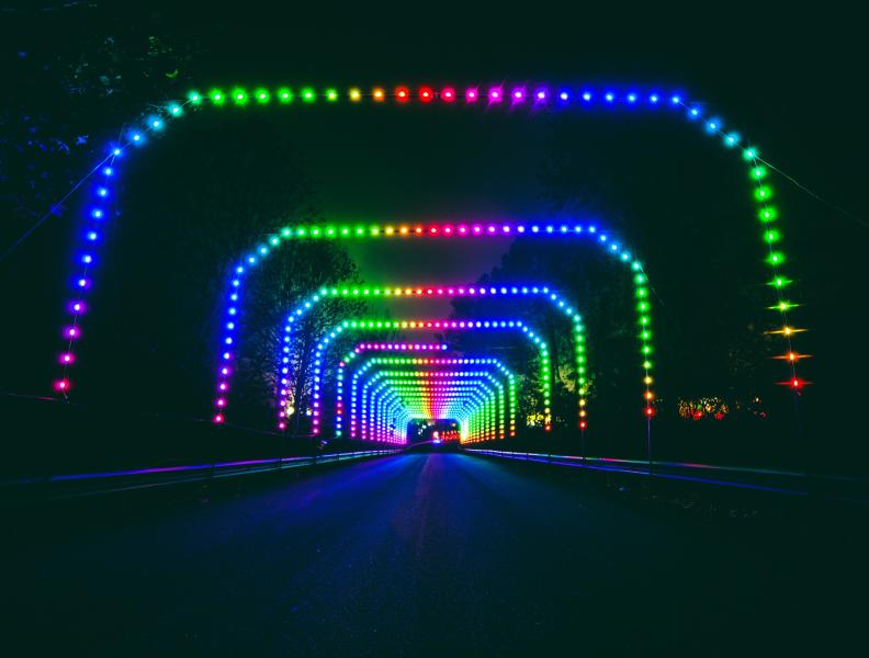 Lights of Joy