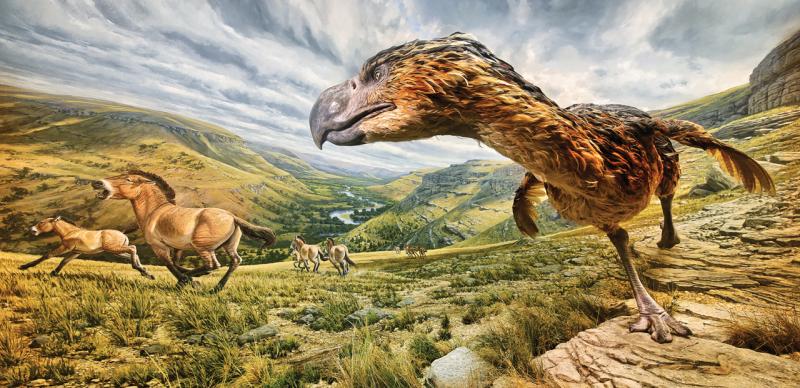 Museum in Branson displaying Terror bird hunting prey.