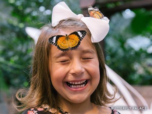 Young girl laughing at a butterfly that landed on her nose.