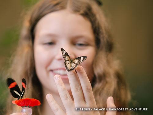 Young girl holding two live butterflies at a indoor rain forest attraction in Branson.