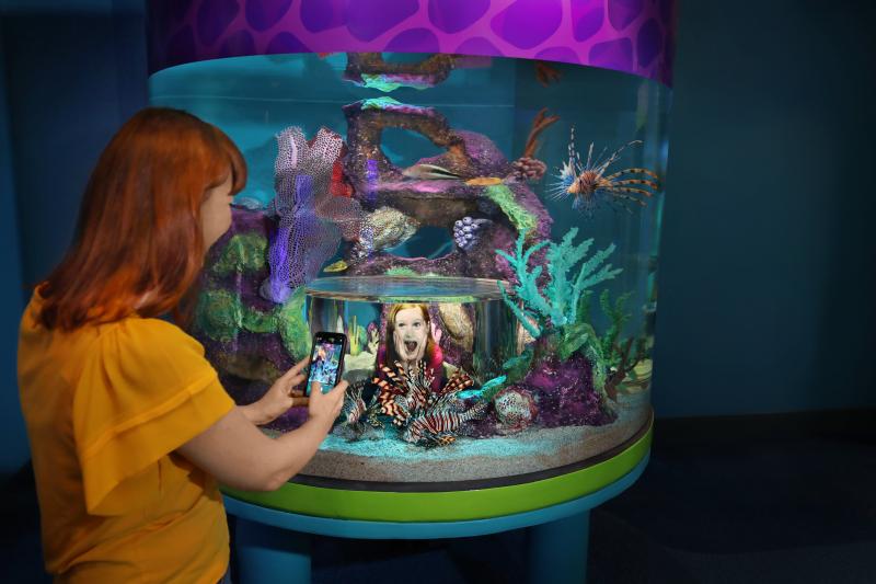 Illustration of families at a new aquarium in Branson. 