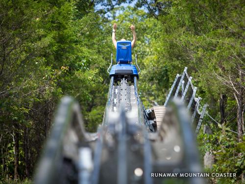 Mountain Coaster car gliding on the track in Branson.