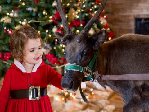 Let There Be Lights! Christmas Drive-Thru Display | Explore Branson