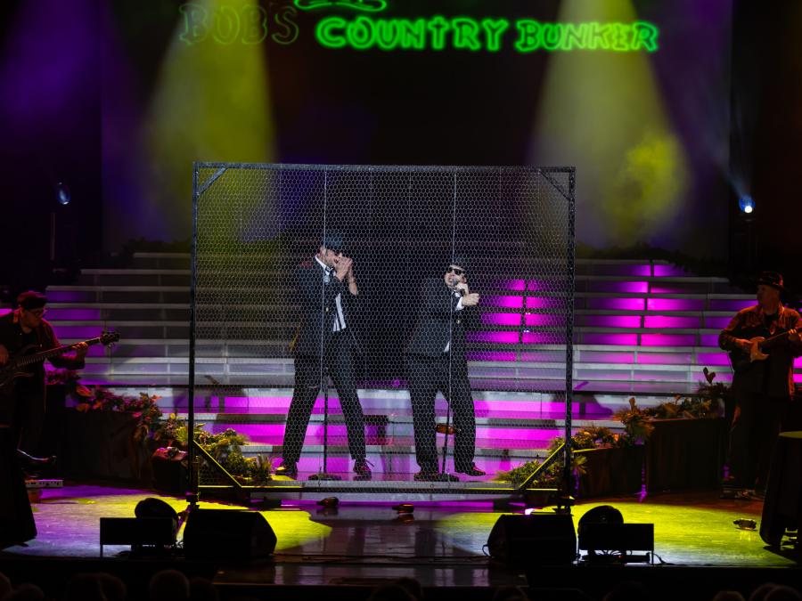 The Blues Brothers™