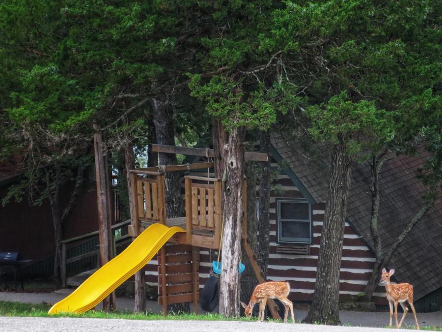 Kids Playground