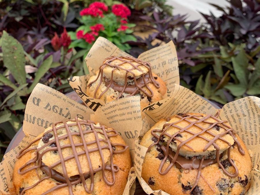 White River Coffee Company Explore Branson