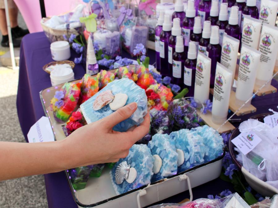 57th Annual Plumb Nellie Days Arts, Crafts & Music Festival Explore