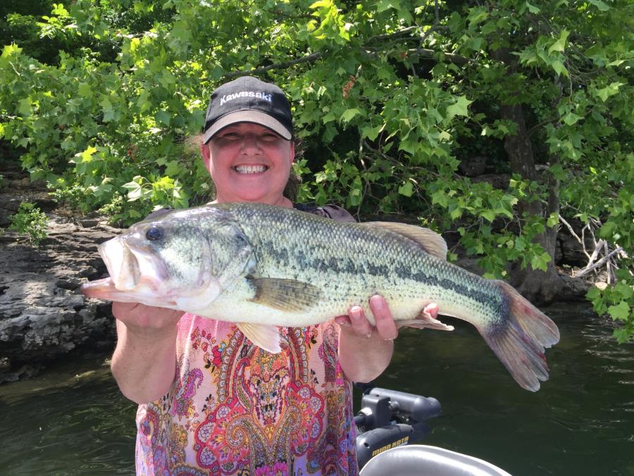 Big bass