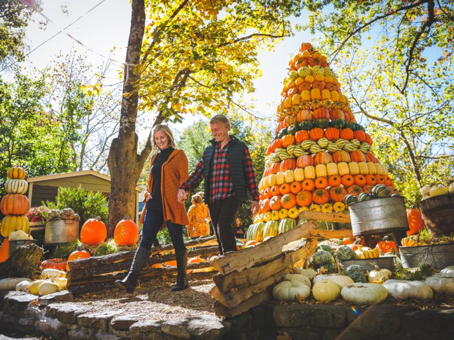 Harvest Festival Pumpkin Tree, SDC