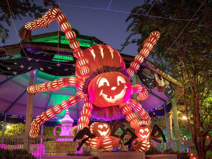 Giant Spider Carving at Harvest Festival: Pumpkins in the City