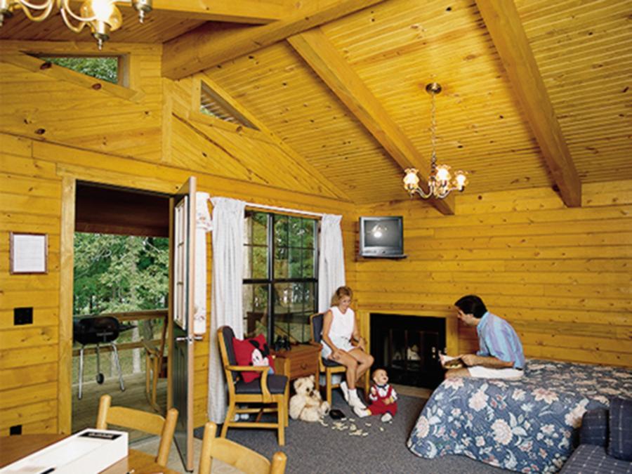 1-Bedroom Log Cabin Living/Dining Room