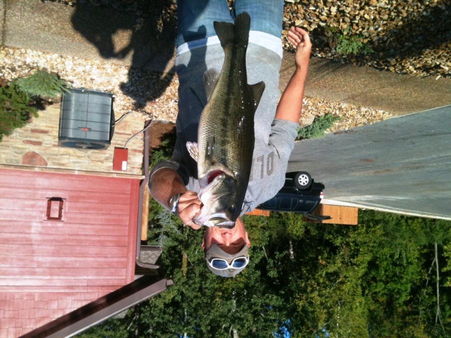 Bass fishing on Table Rock Lake