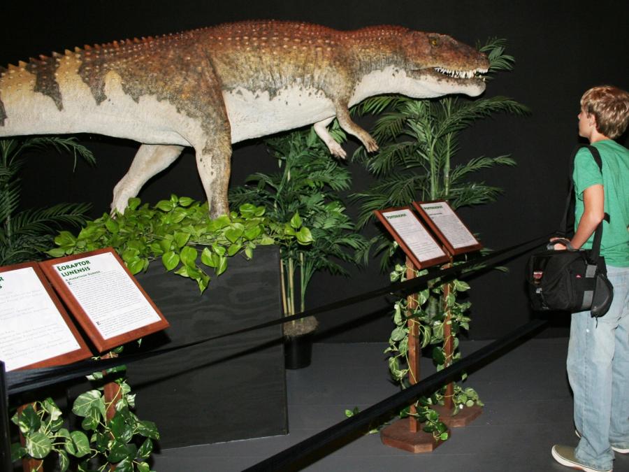 Dinosaur Museum is educational and entertaining