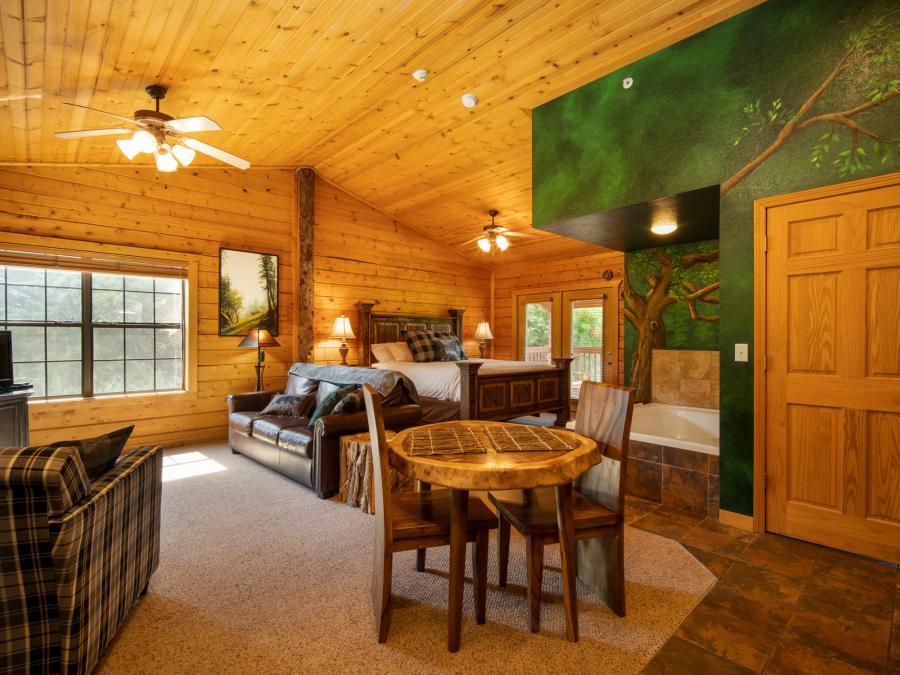 Cabins at Grand Mountain by Thousand Hills Vacations