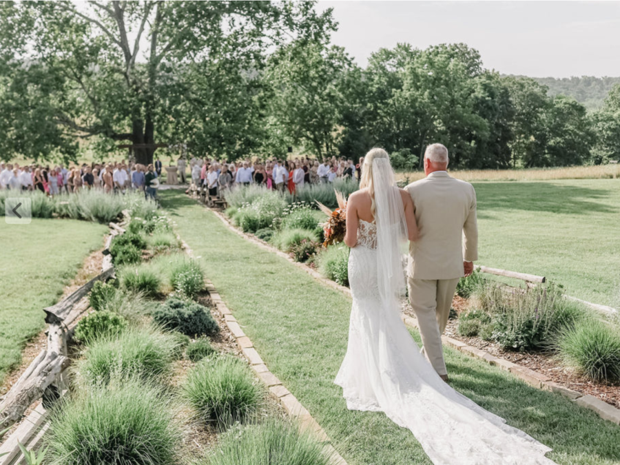Sycamore Tree Ceremony Site by Madison Diane Photography