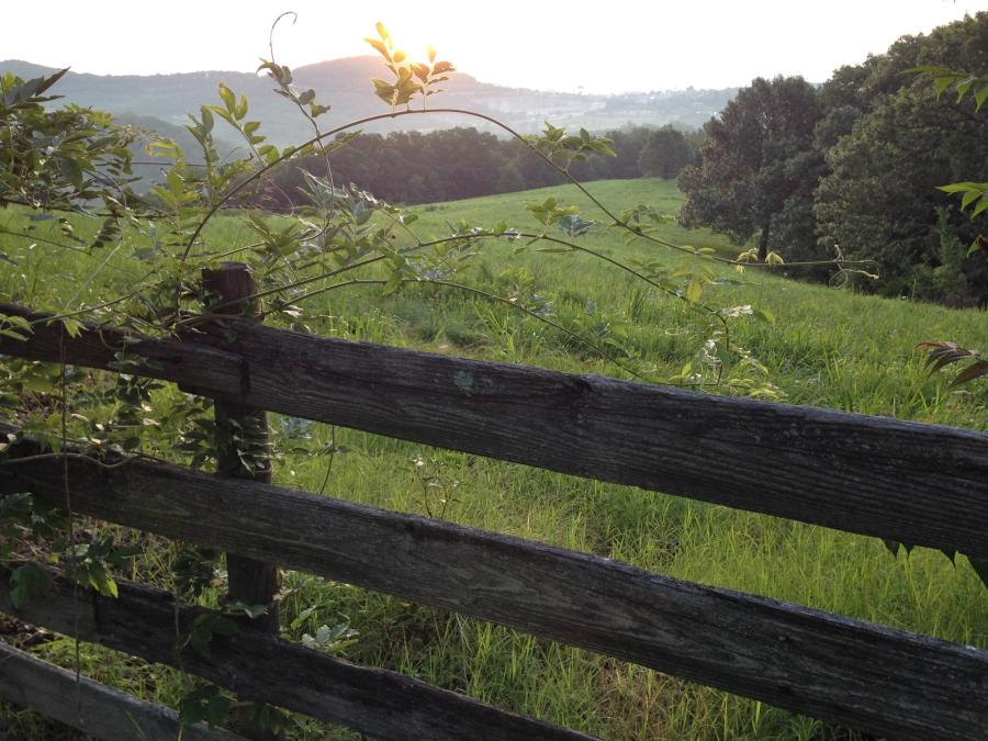 Quiet country setting, but still close to everything