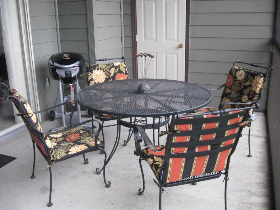 Screened in Patio with Electric Grill