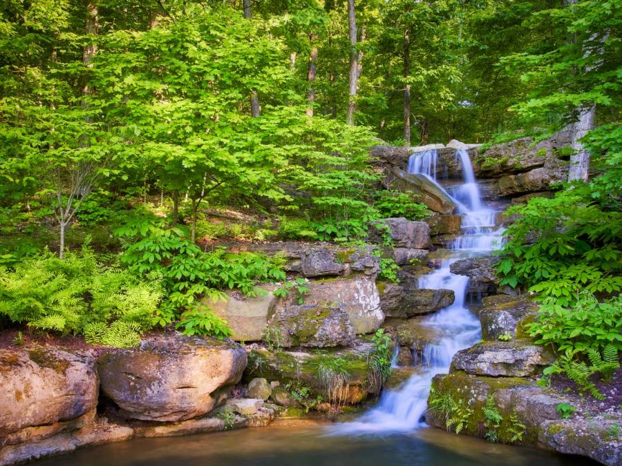 Lost Canyon Cave and Nature Trail Explore Branson