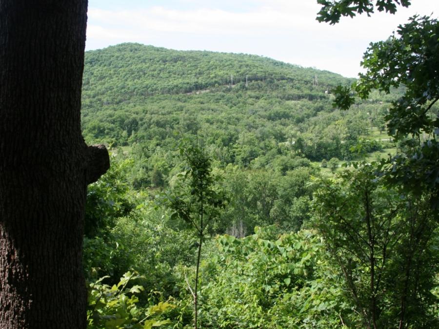 Beautiful View!