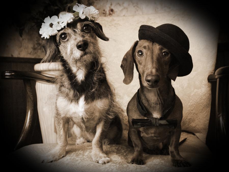 Old Time Photos