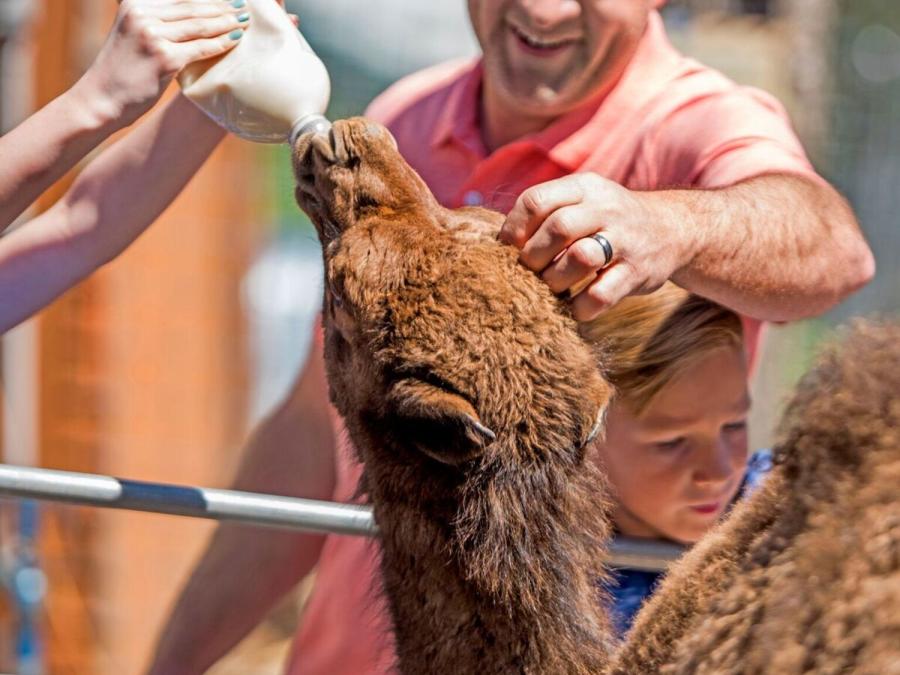 You even have the option to bottle feed many of our baby animals!