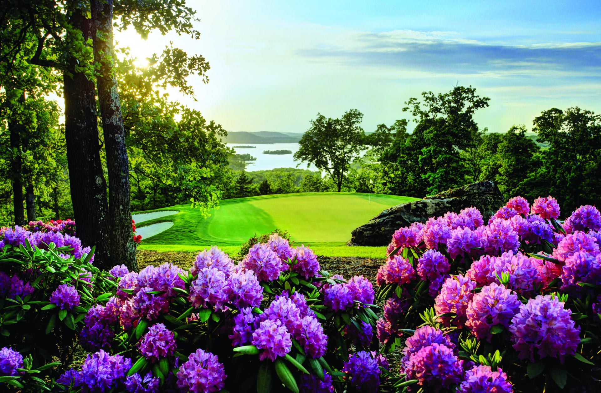 Purple flowers on a bright green golf course on a sunny day.