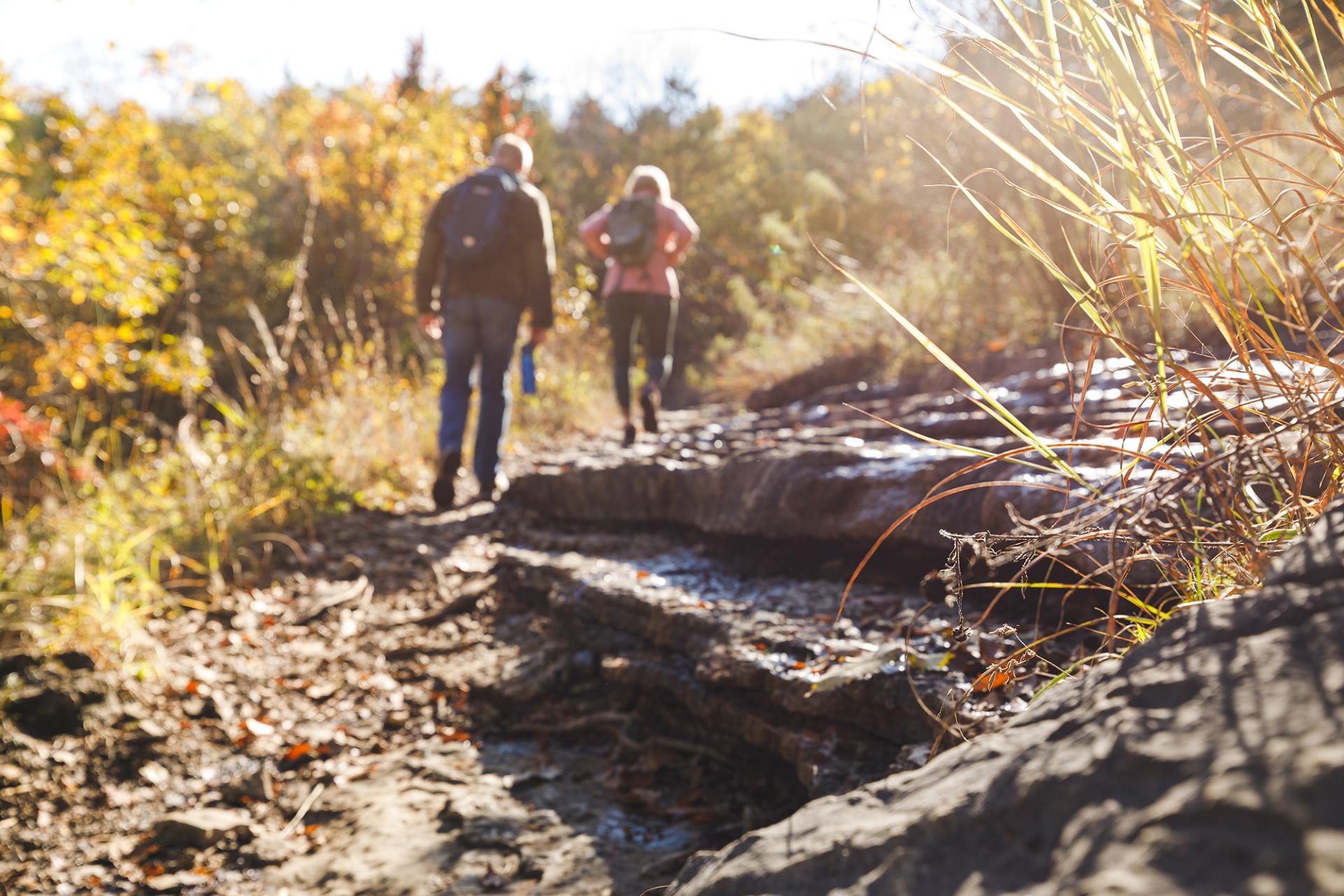 See breath taking landscapes anytime of year in Branson.