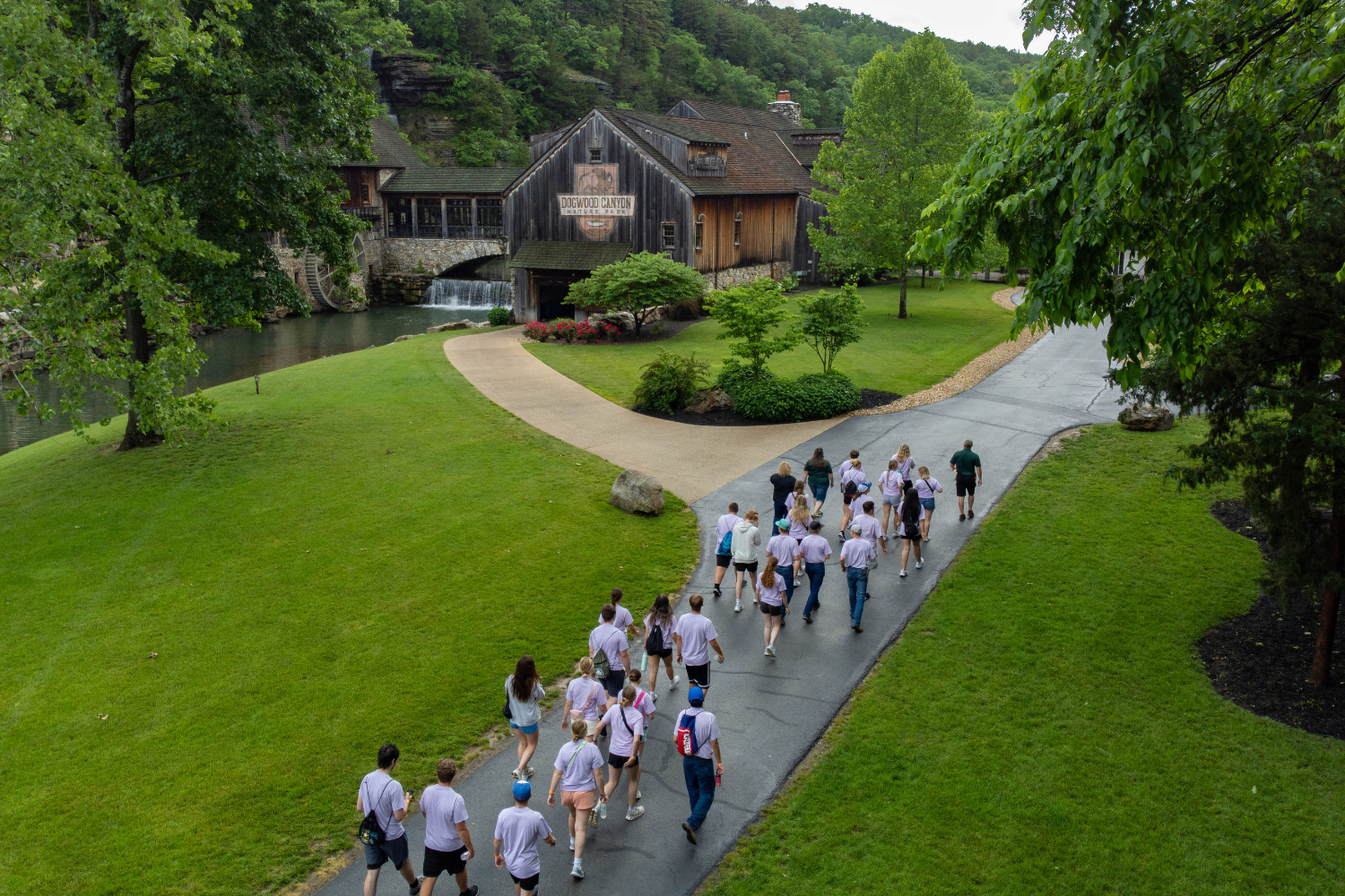 dogwood students aerial