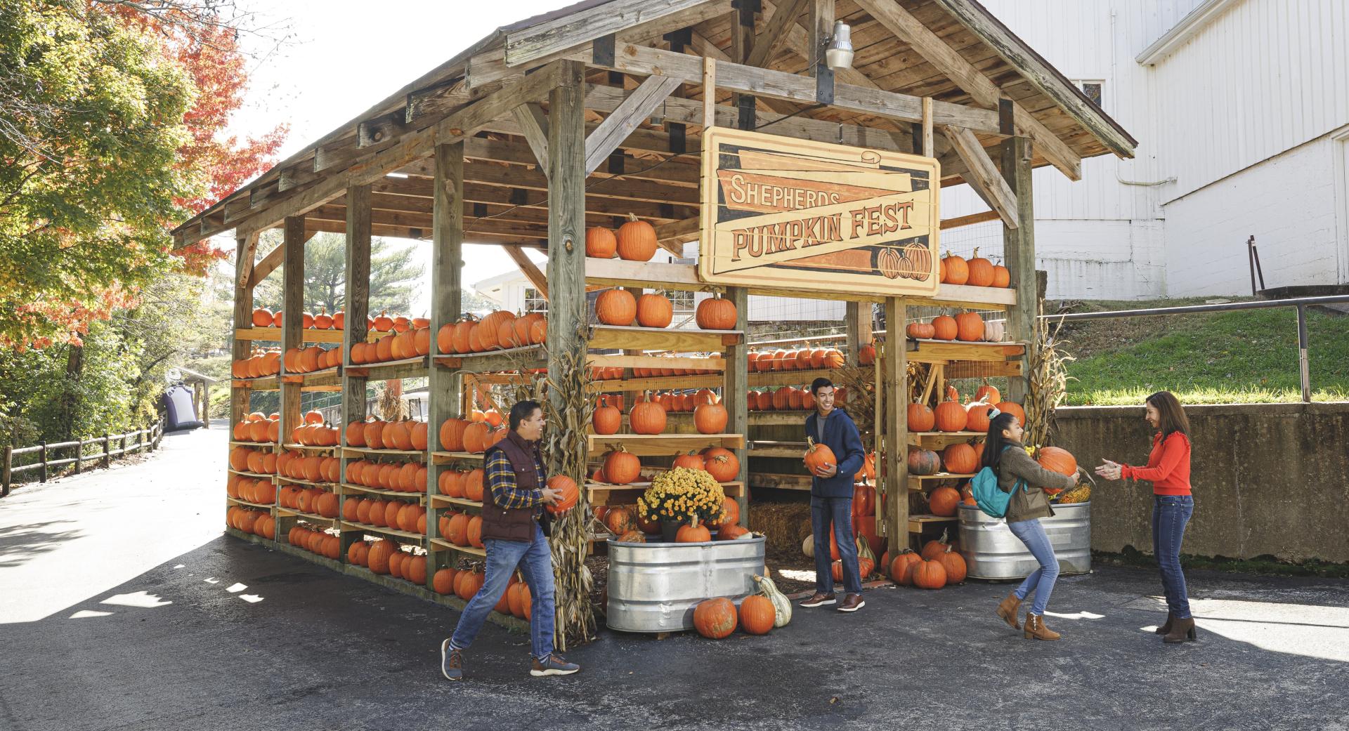 A family is playing with pumpkins at Shepherd's Pumpkin Fest