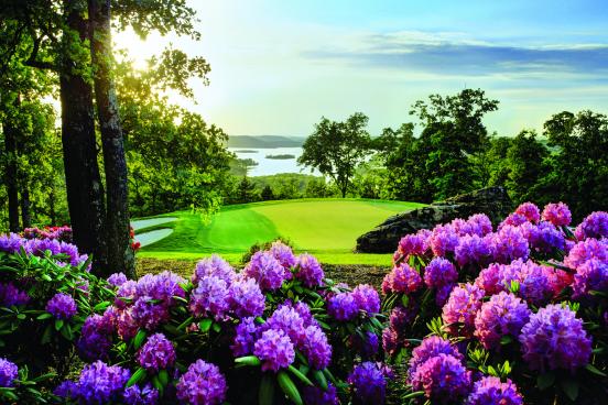 Purple flowers on a bright green golf course on a sunny day.