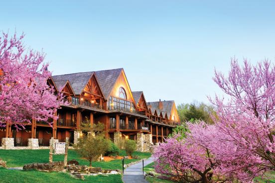 Trees blooming in the spring at Big Cedar Lodge.