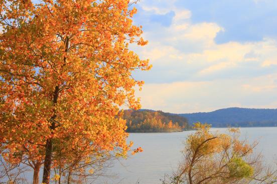 Check out the Fall colors at the Lake.