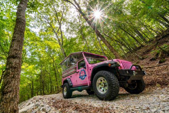 pink jeep tour