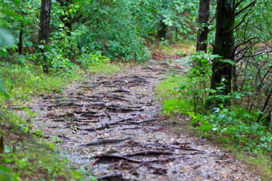 White River Trail