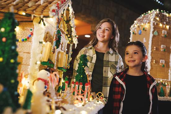 Christmas Chateau on the Lake Gingerbread House Girls Kids Winter