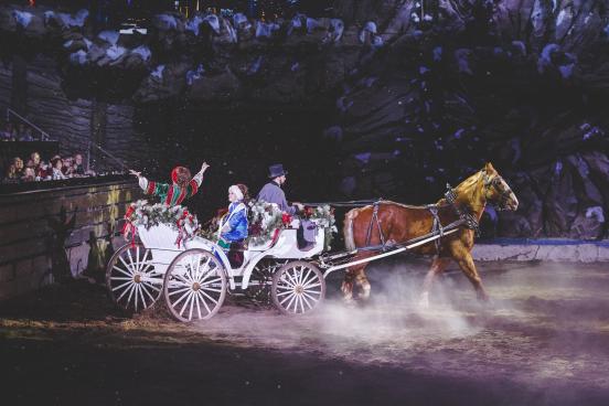 Dolly_Stampede_Show_Christmas