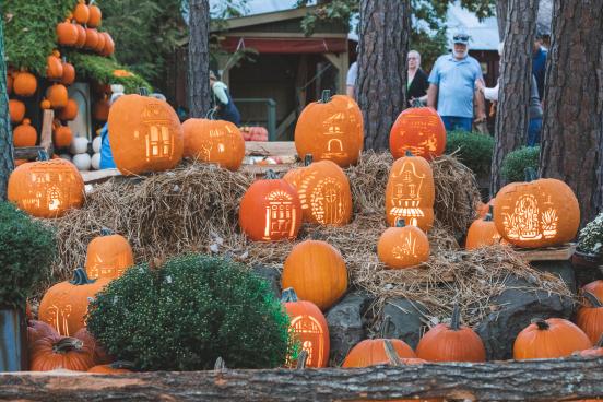 Pumpkins in the City