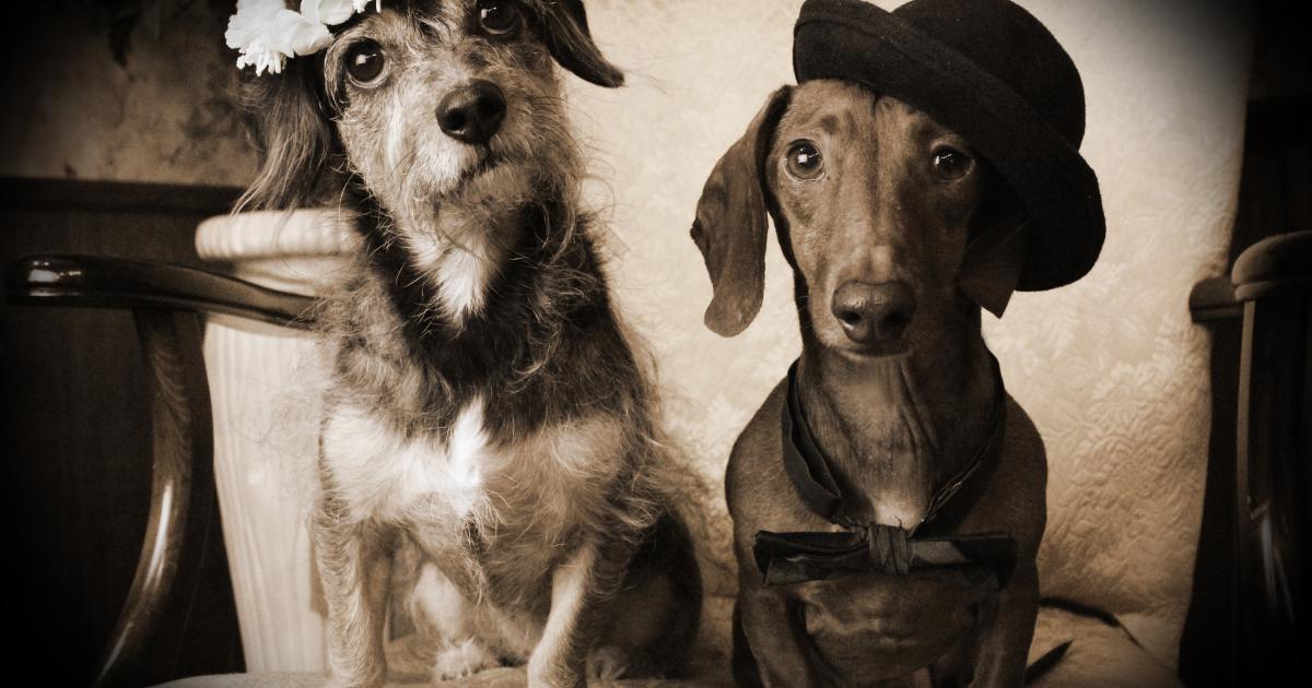 Outlaw Old Time Photos Explore Branson